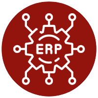 ERP Implementation